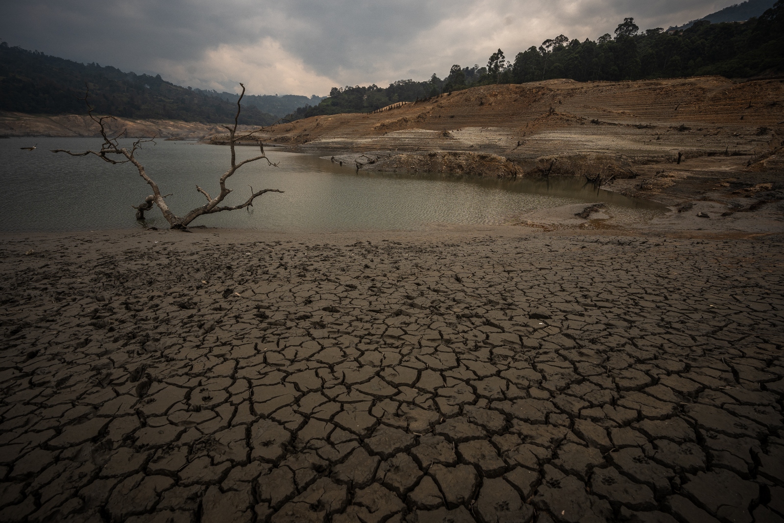 A tree trunk lies on a now dry section of the El Guavio reservoir near Bogotá, Colombia. Reservoirs across the country are emptying out thanks to a major drought caused by the El Niño weather pattern.