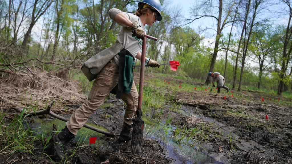 Photo of a worker digging into the ground in a muddy area