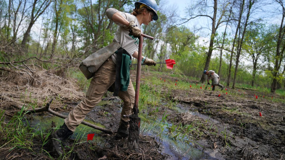 Photo of a worker digging into the ground in a muddy area