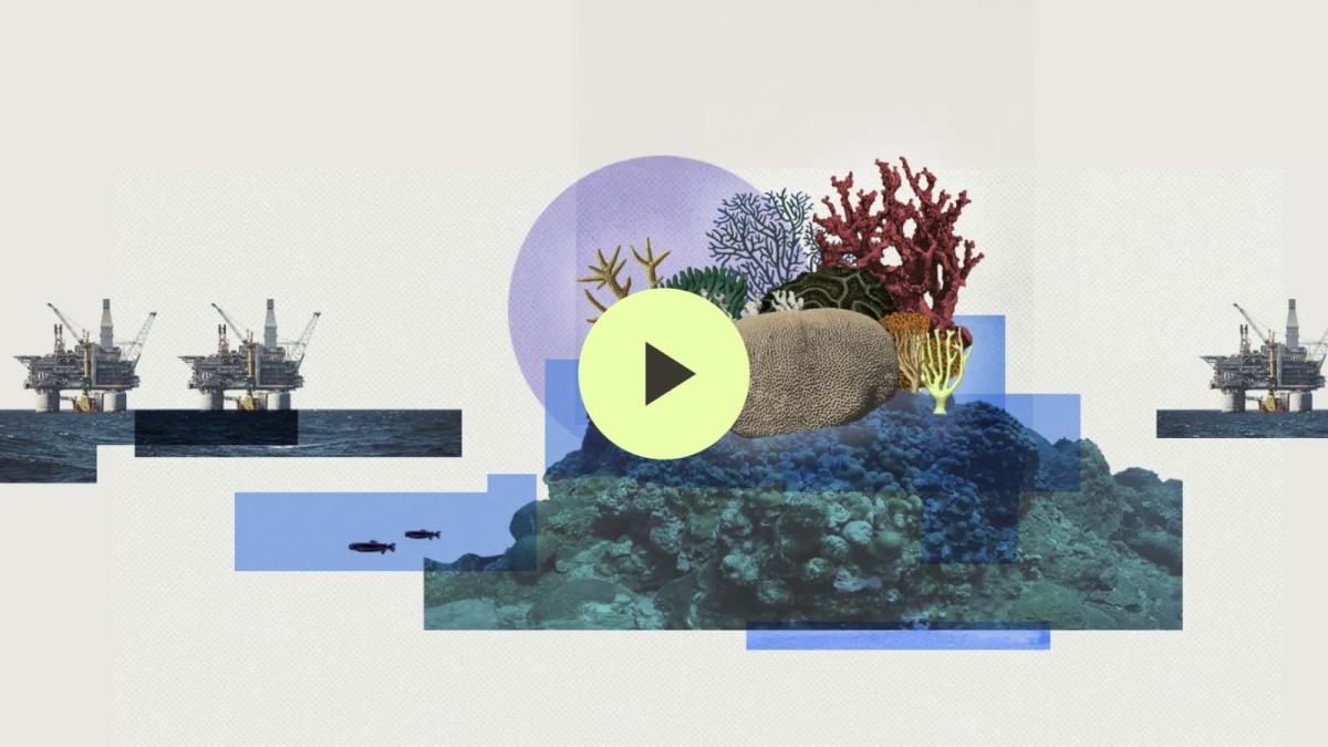 A collage of corals and oil rigs, with a play button over it
