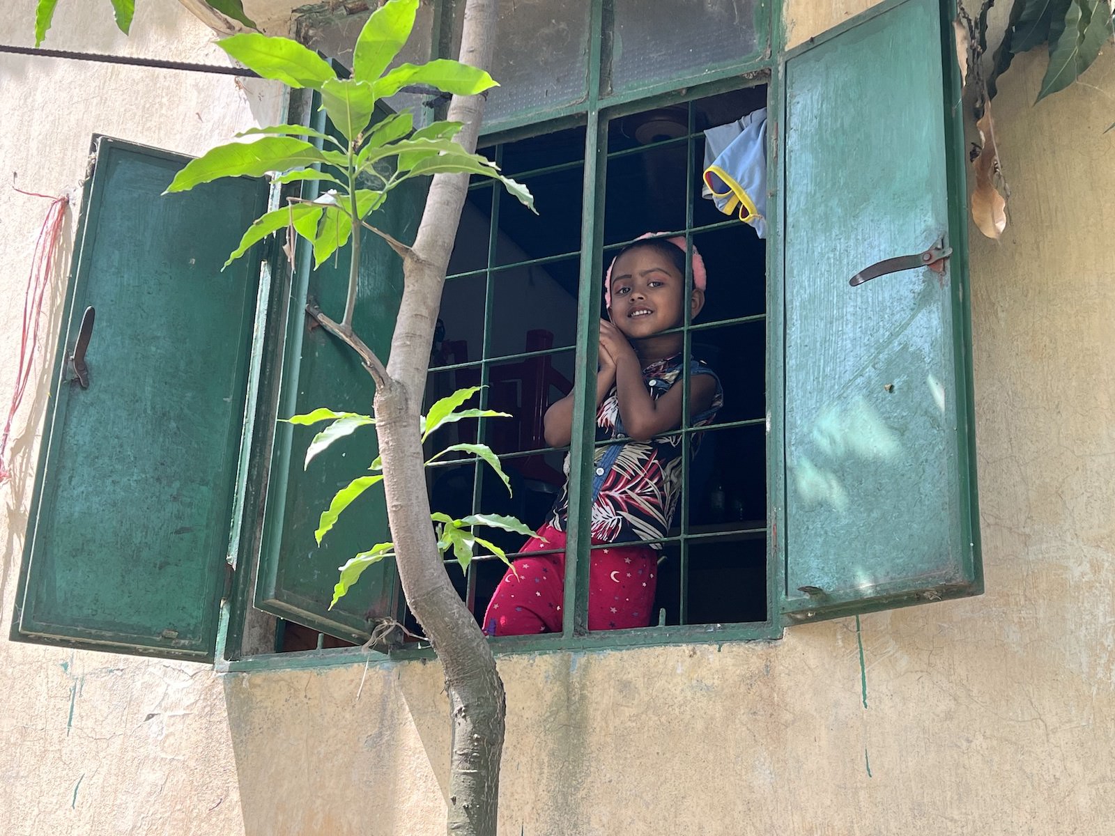 A young girl looks out from a grated window lined with green wooden shutters. A tree grows in front of the window.