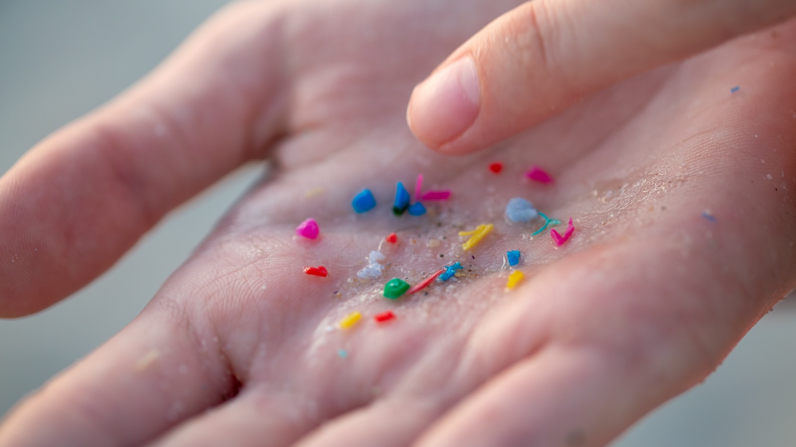 Close-up of a hand with multicolored pieces of microplastics in it, with a finger pointing to them.