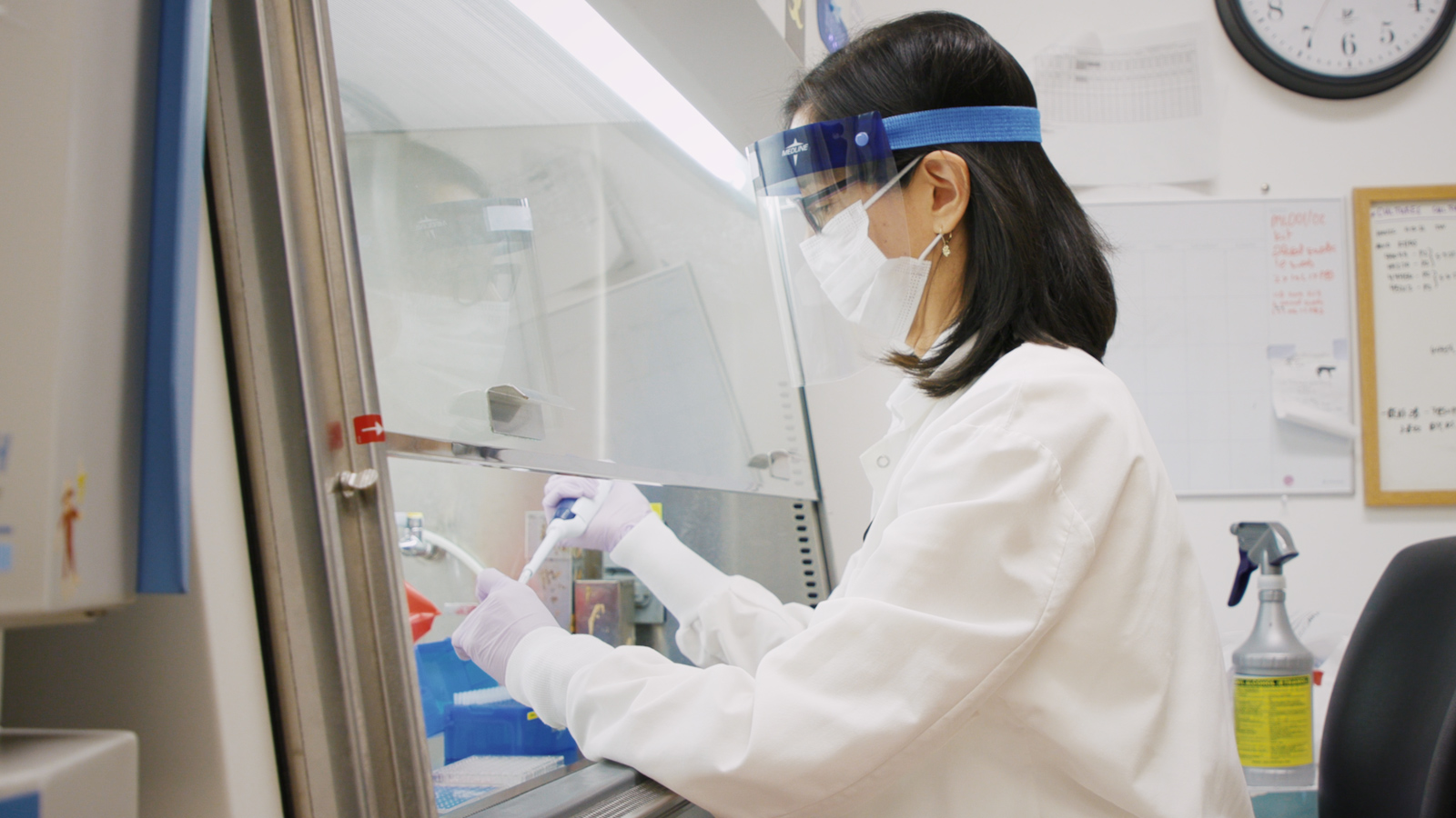A woman wearing a face shield and a paper medical mask works with a pipette under an instrument hood in a lab