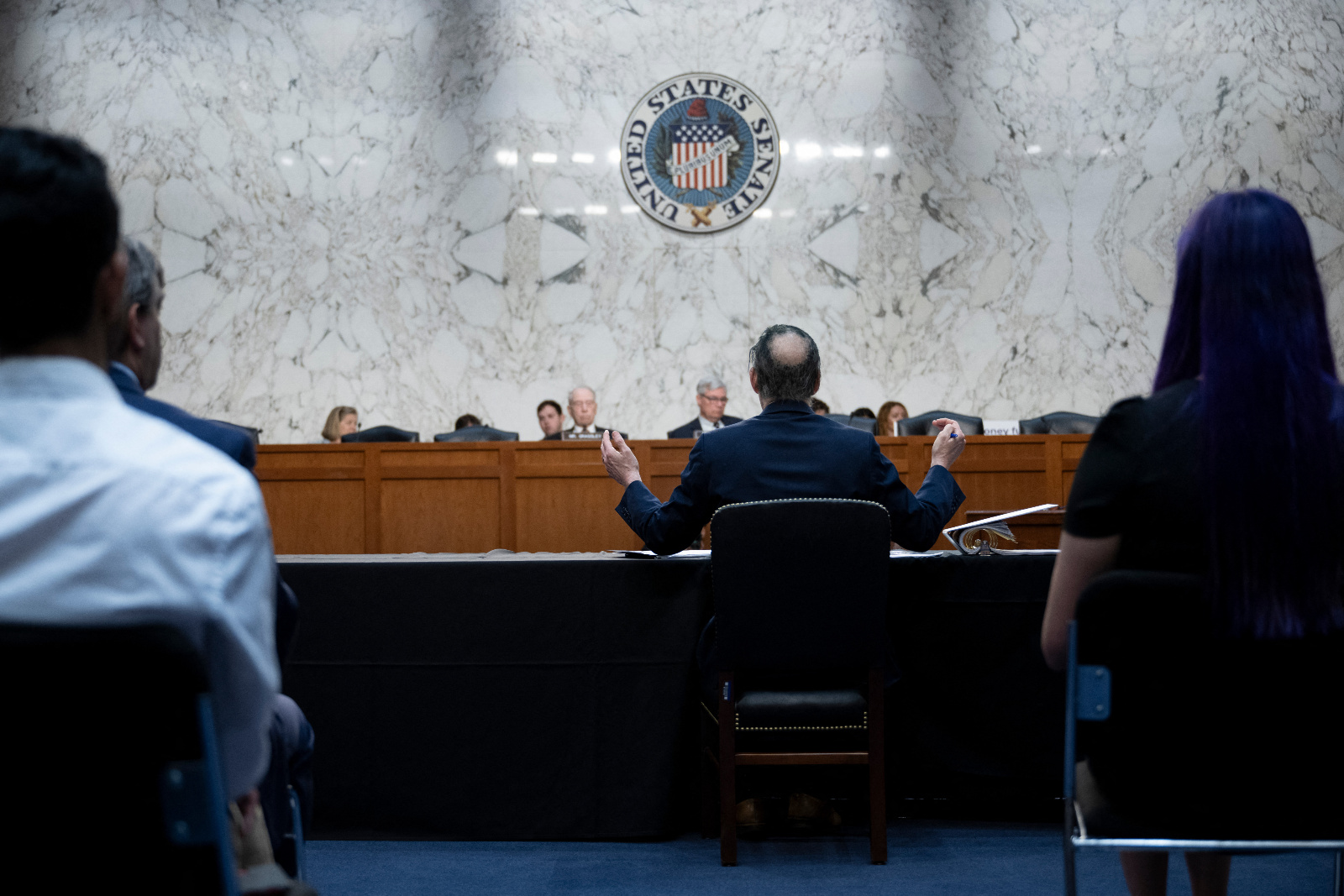 Photo taken from behind of a man gesturing as he speaks to a congressional committee