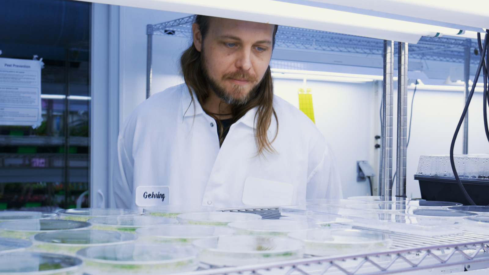 A man with a beard and long hair wearing a white lab coat and looking at samples in a lab
