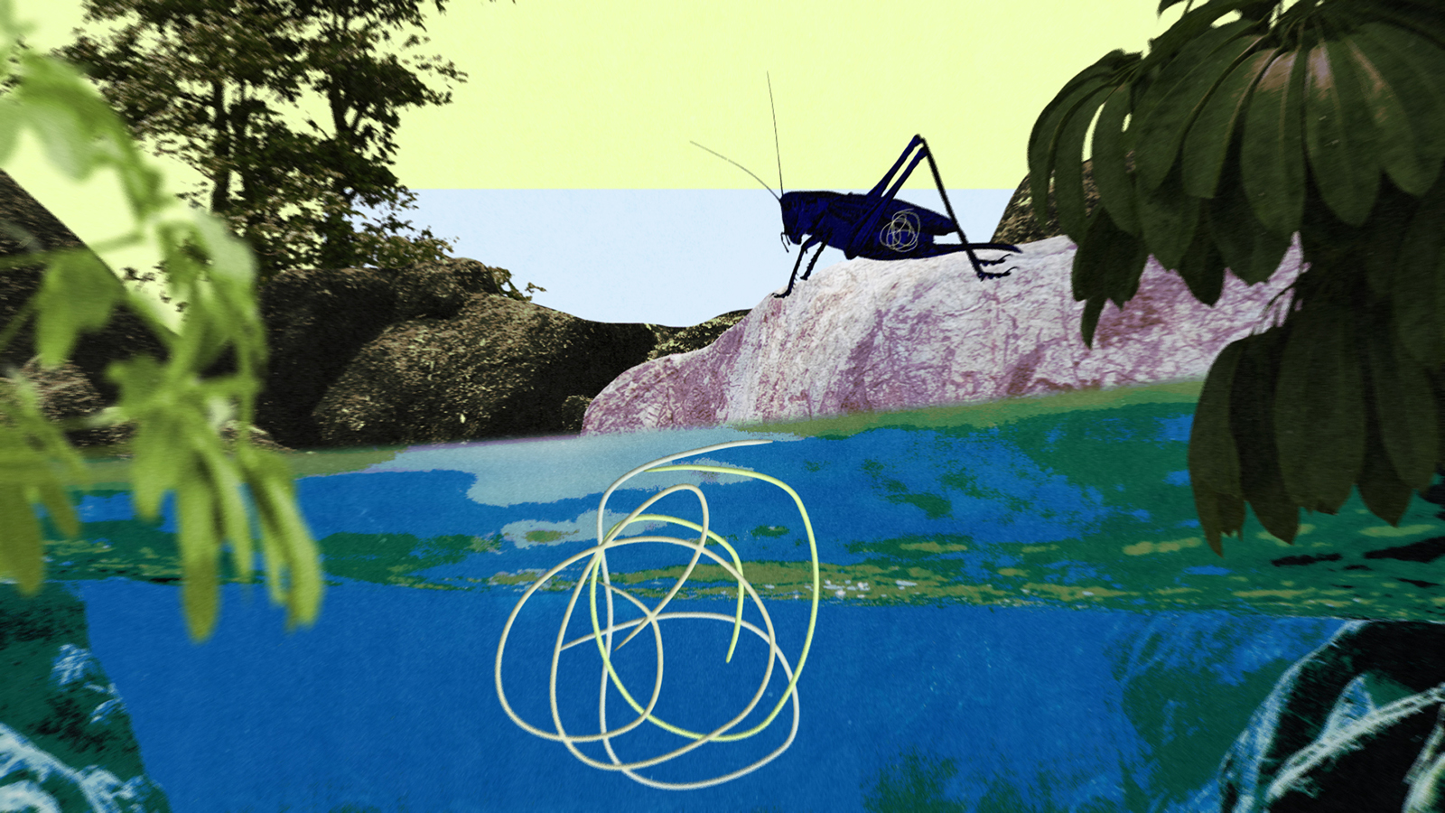 An illustration depicts a parasitic nematamorph worm floating in a creek, while a cricket infected with the parasite stands at the creek's edge.
