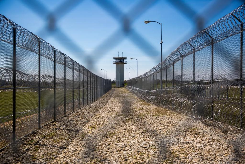 A long corridor of dry grass between metal fences, as seen through a metal fence.