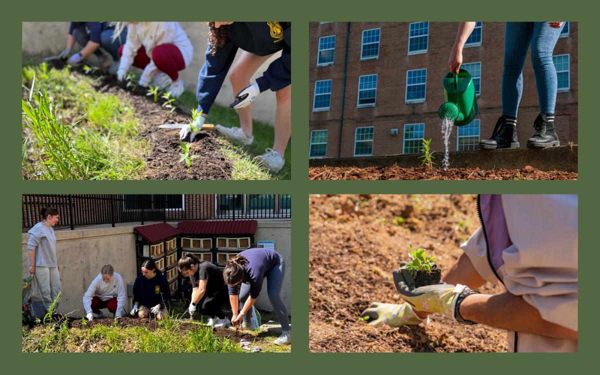 A grid of four photos showing young people with their hands in the dirt, planting seedlings, and watering with a watering can