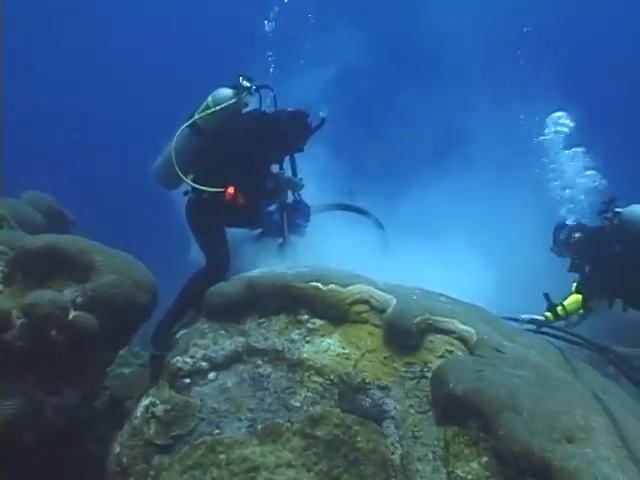 a diver holds a drilling tool near a boulder-shaped coral