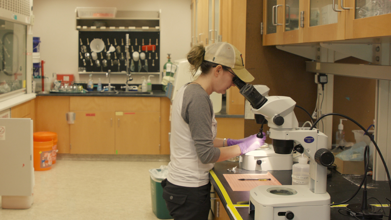A woman in a baseball cap looking into a microscope in a lab