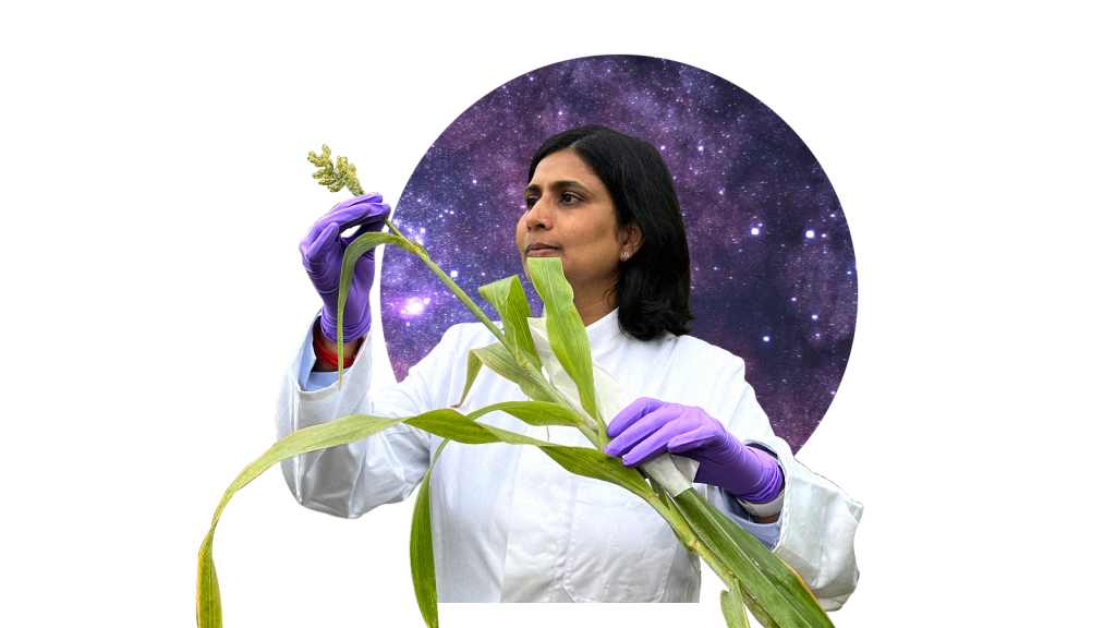 A collage of a woman in purple nitrile gloves holding a long plant stalk. In the background there is a circle with stars and space