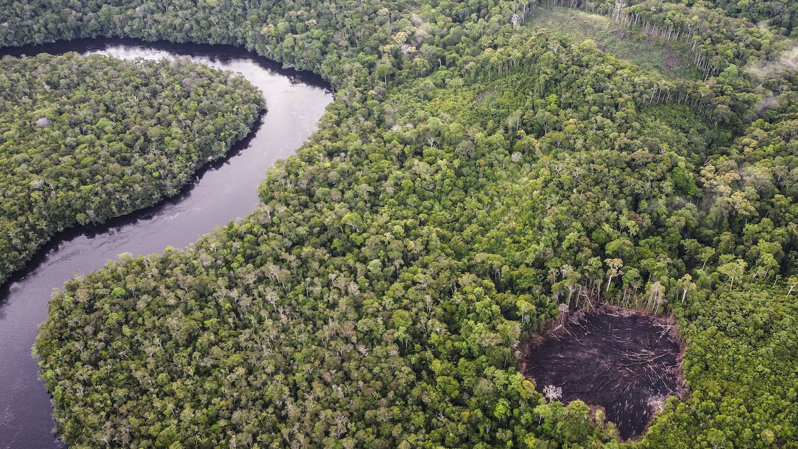 Aerial view of a rainforest with a river running through it. A small patch on the right is deforested.