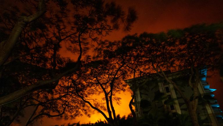 a tree and house silhouetted against orange light