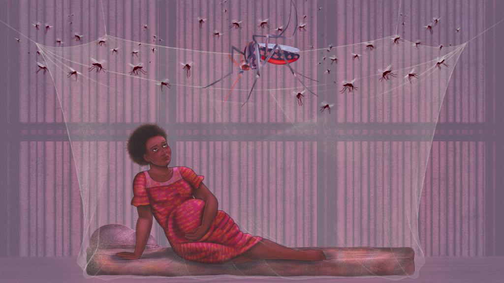 an illustration of a woman in a red dress and a pregnant belly is in a space covered by a mosquito net with many mosquitoes hovering outside