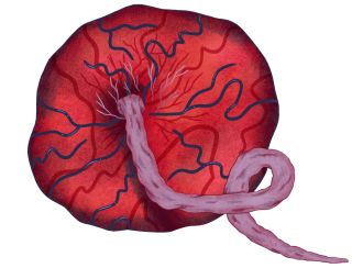 pregnant-in-a-warming-climate-a-lethal-double-risk-for-malaria-grist