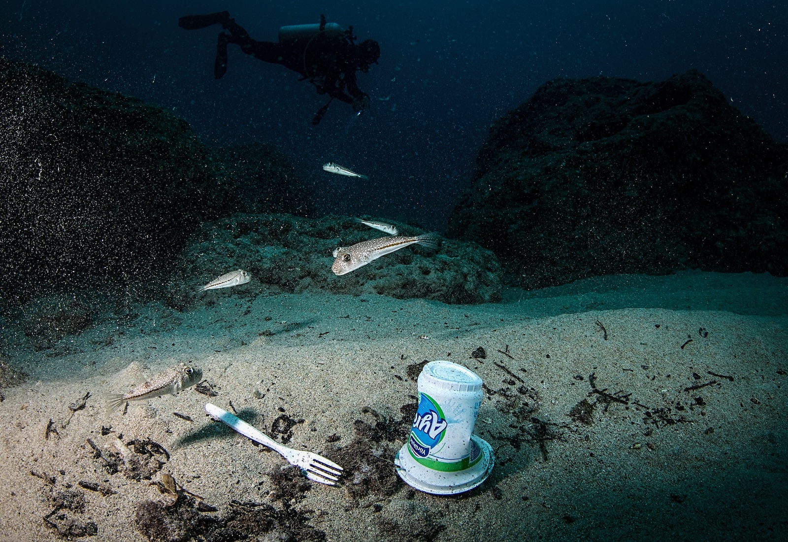 A plastic yogurt cup and fork on the seafloor, with a fish swimming in the background. A diver is in the far background.