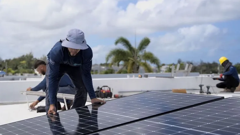 A man in a bucket hat installs panels on a roof with a palm tree in the background.