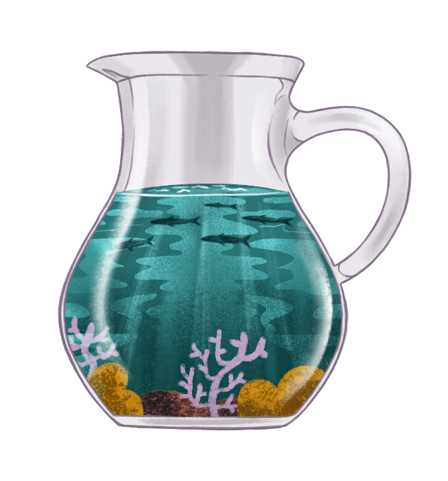 An illustration of a jug of water but the water has corals growing at the bottom as a metaphor for sea water intrusion into drinking water