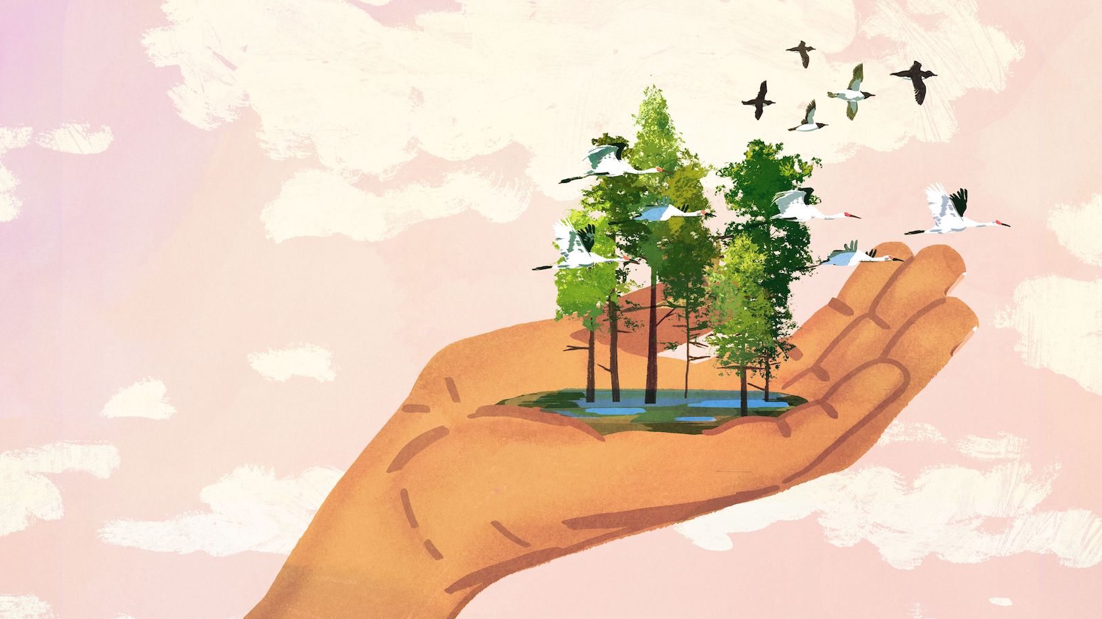 An illustration of a hand holding a copse of trees