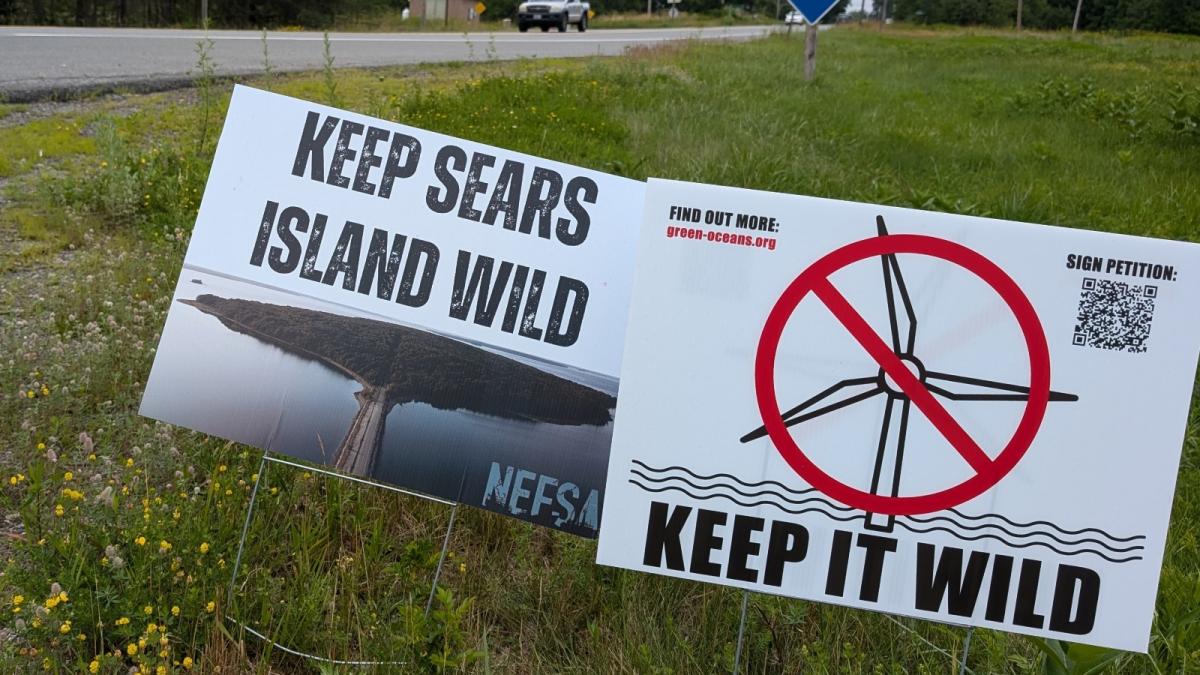 Two signs are stuck in the grass that read Keep Sears Island Wild and Keep it Wild.