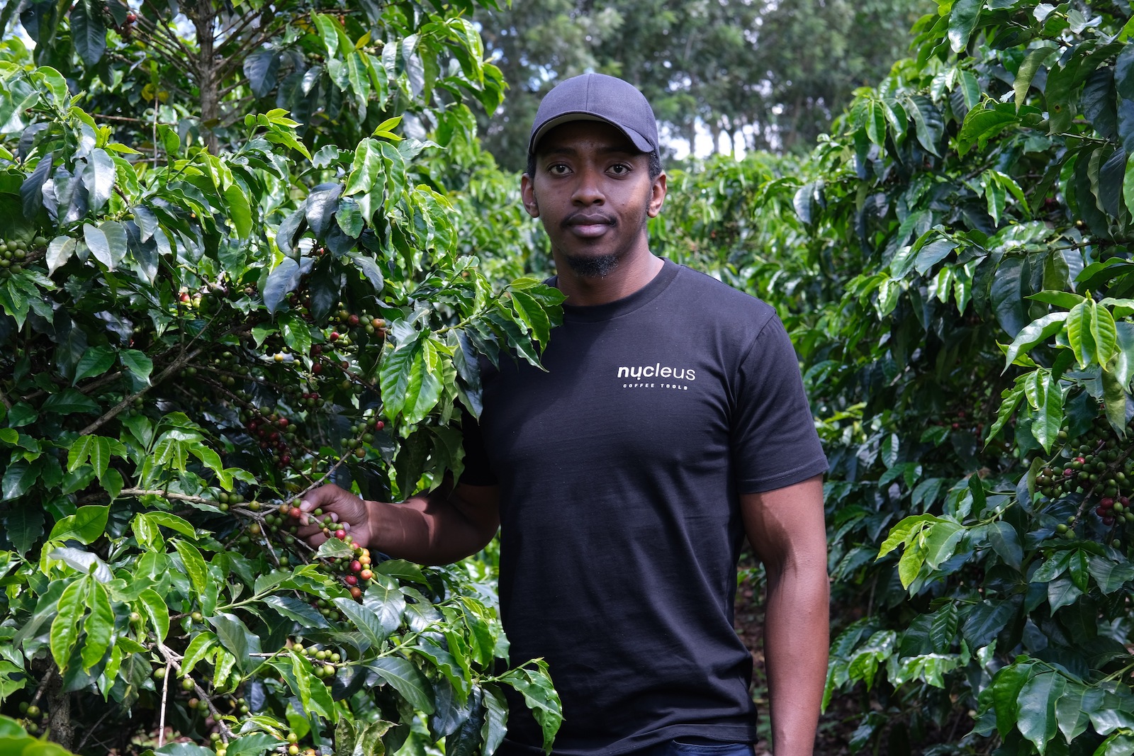 A man wearing a black baseball cap and black t-shirt looks directly at the camera as he stands among lush green shrubs, his hand cradling some of their red berries