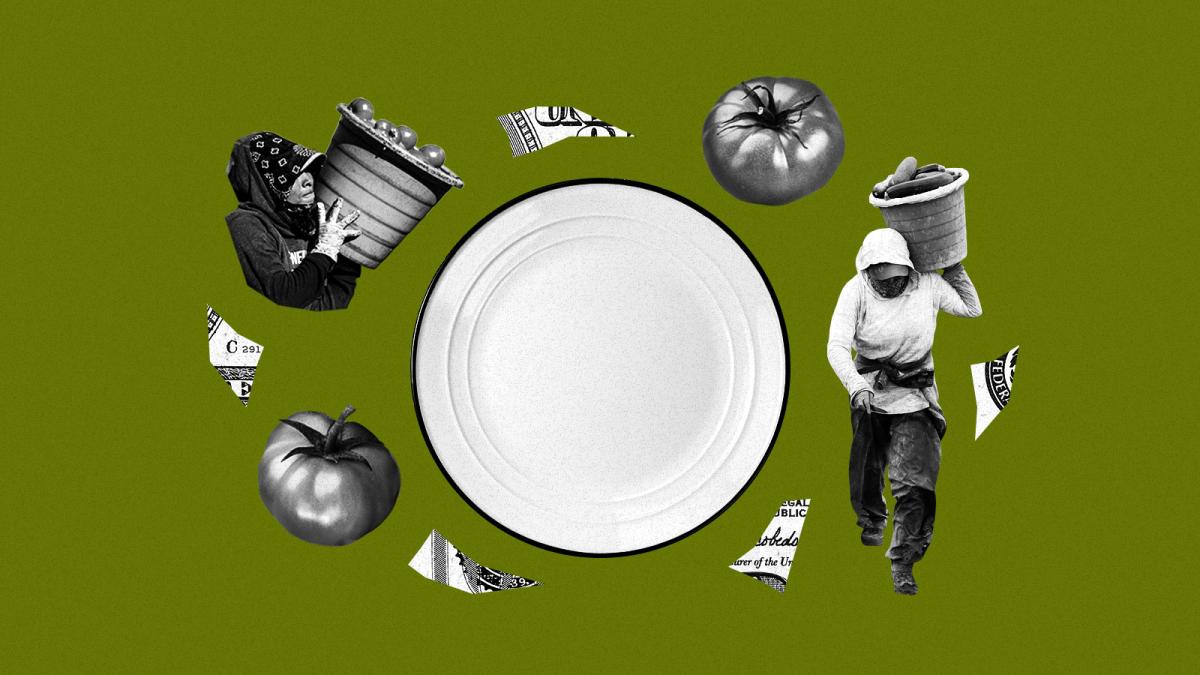Collage of farmworkers carrying produce, snippets of a dollar bill, and tomatoes — all centered around an empty dinner plate