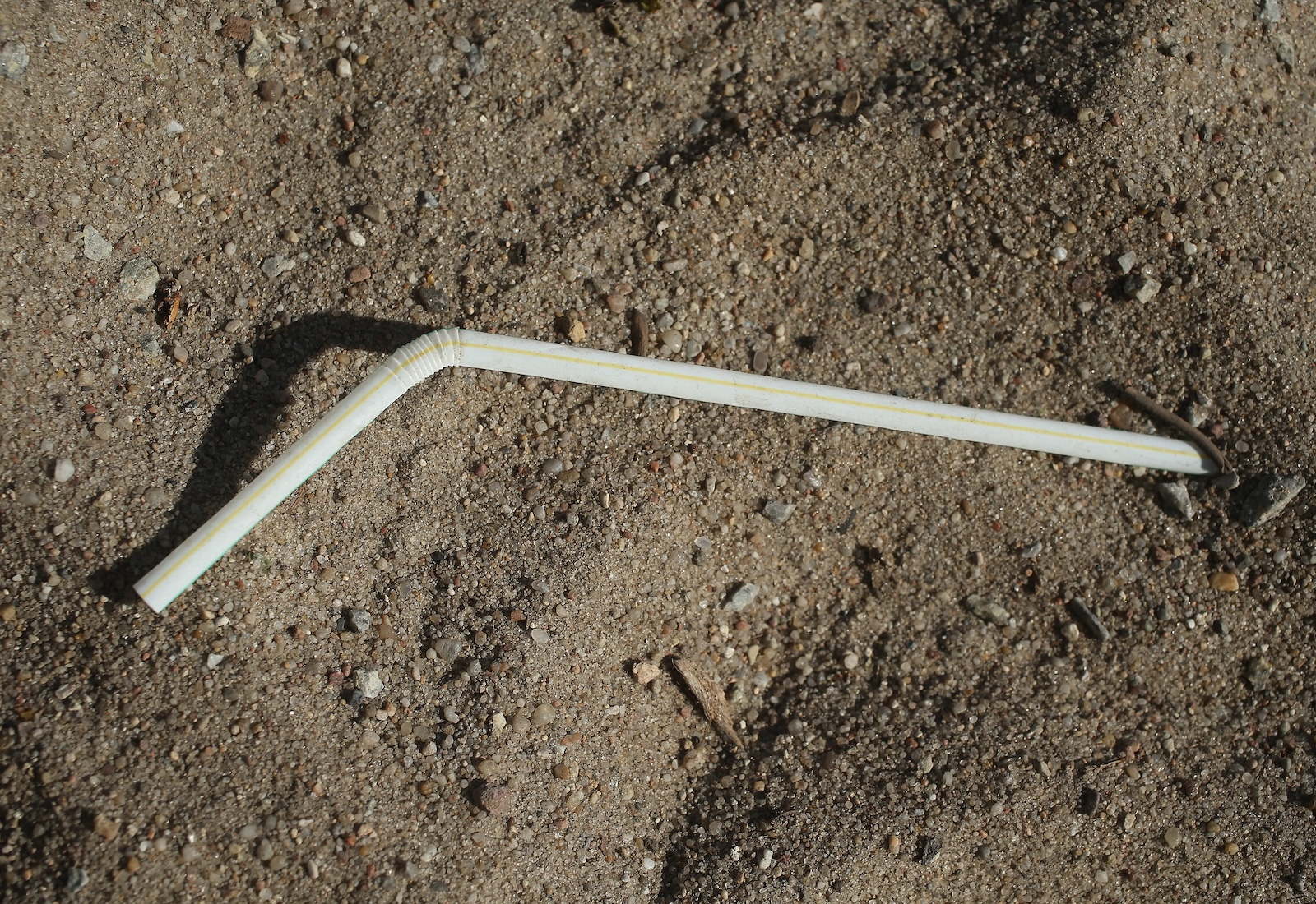 Plastic straw lying flat on dirt