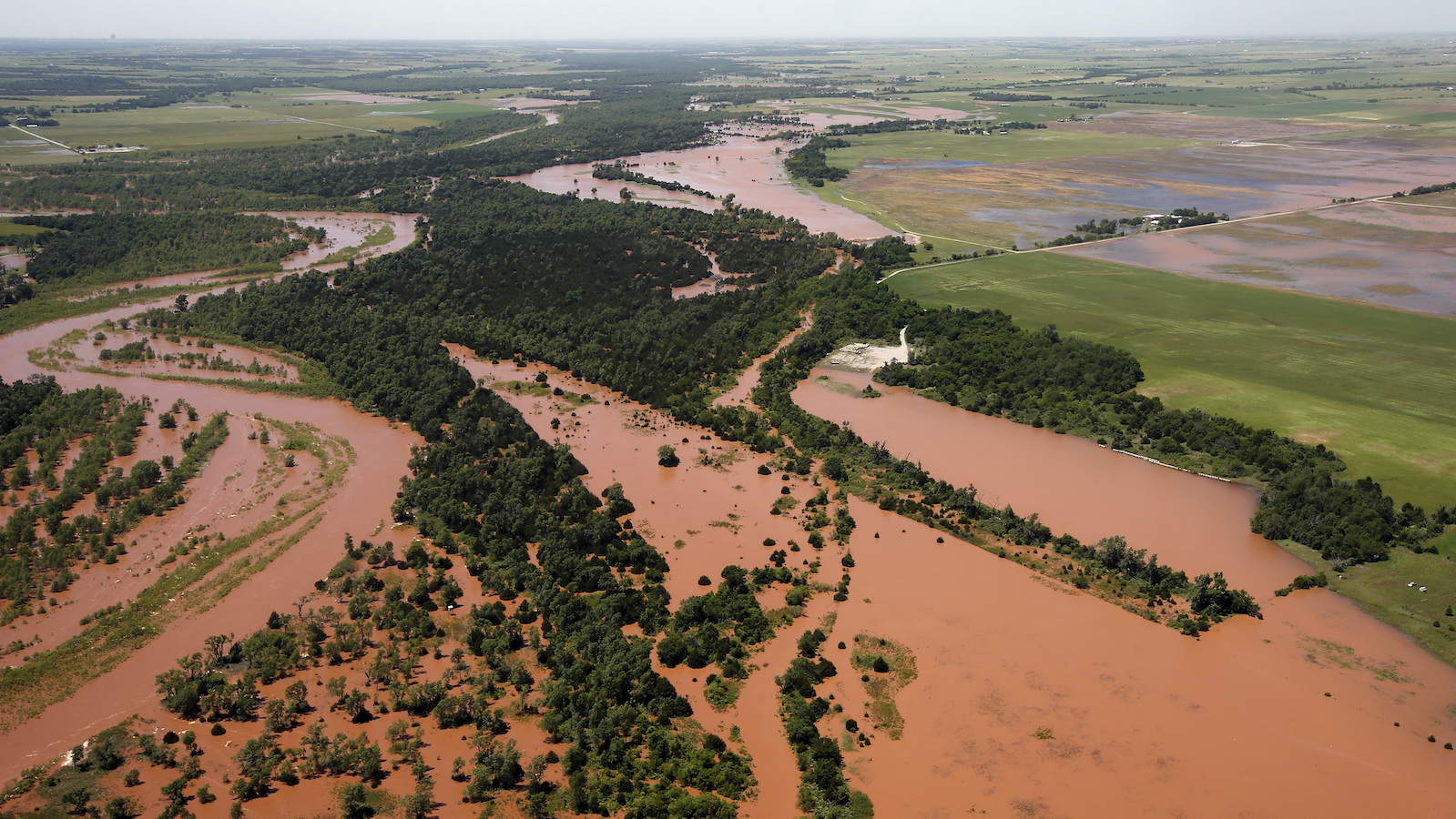 Clay-colored water floods land, with only tops of trees sticking up.