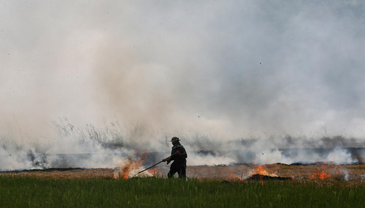 a farmer burns crops as smoke rises into the sky