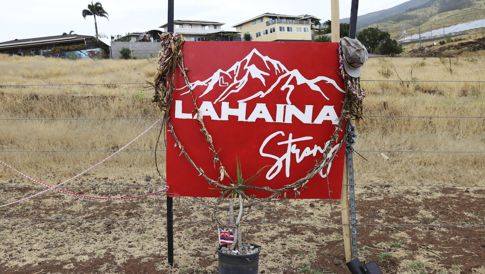 A sign is seen at a roadside memorial dedicated to the Maui wildfires, Friday, April 12, 2024, in Lahaina, Hawaii. More than half a year after the deadliest U.S. wildfire in more than a century burned through a historic Maui town, officials are still trying to determine exactly what went wrong and how to prevent similar catastrophes in the future. But two reports released this week are filling in some of the blanks. (AP Photo/Marco Garcia)