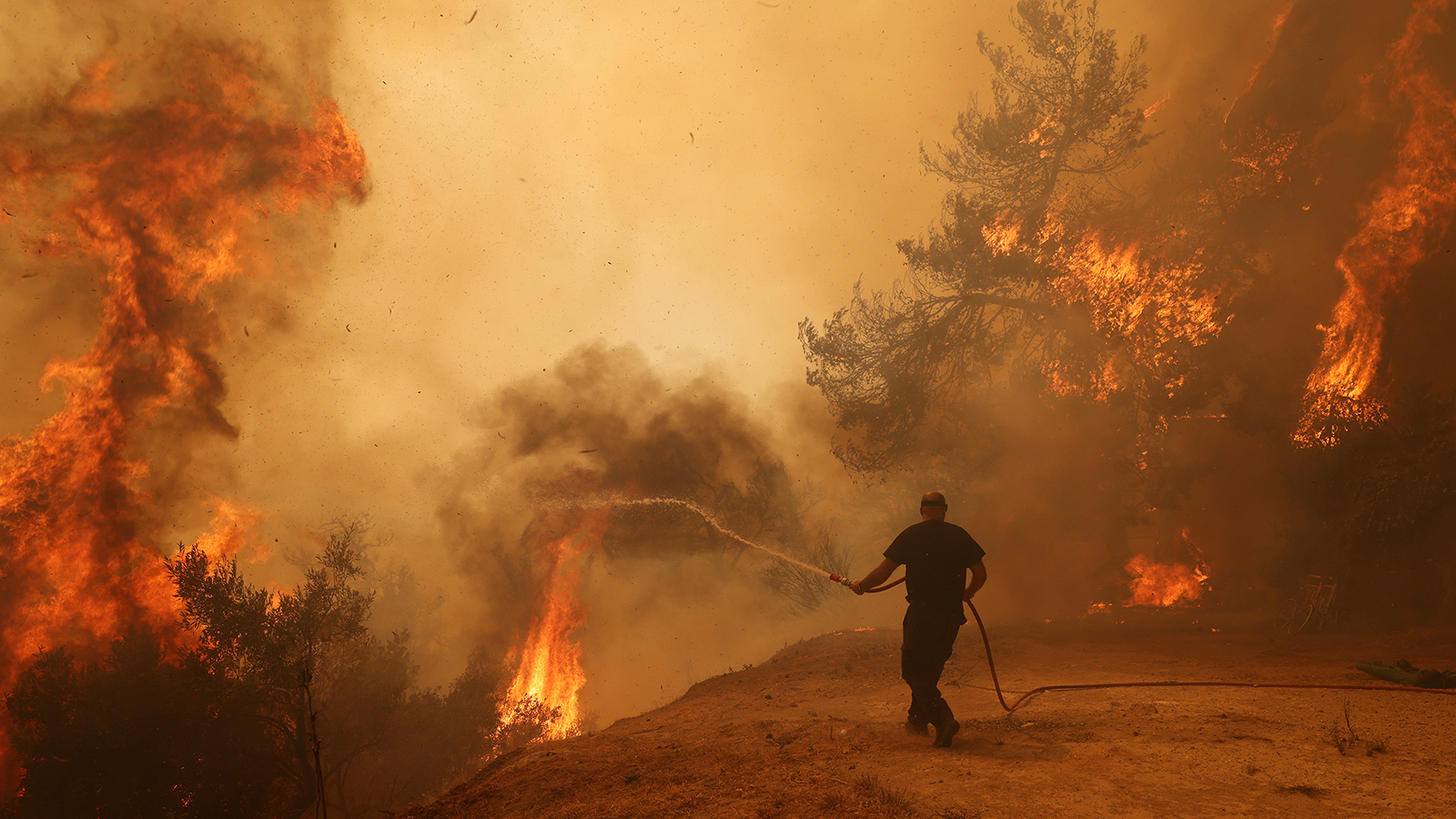 a man holding a snake approaches the edge of an embankment with burning trees