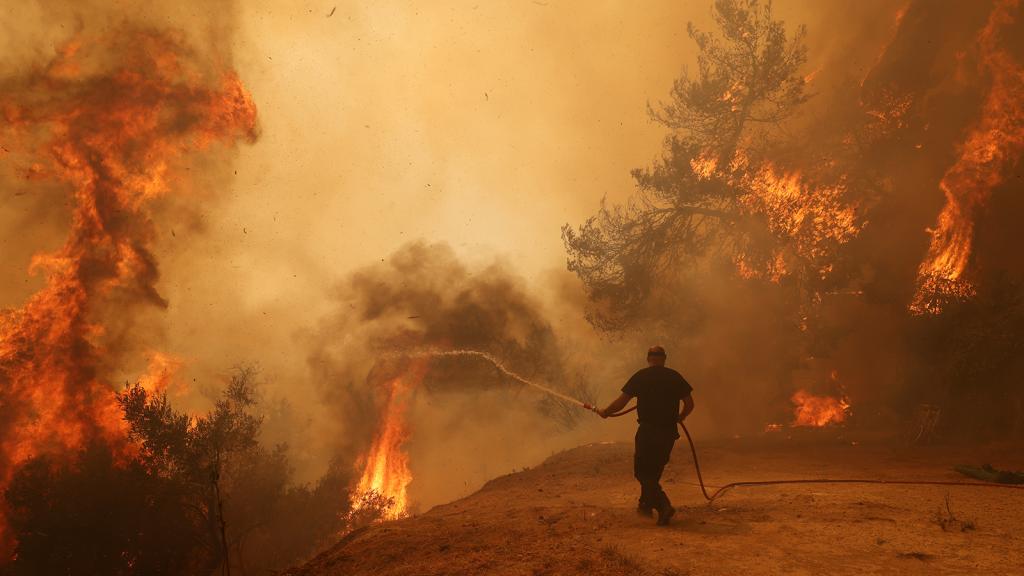 a man holding a hose approaches the edge of an embankment with trees on fire