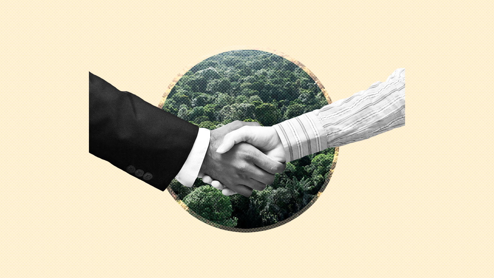 Two people's forearms in a handshake against a yellow background. Behind their hands is a circular cutout of a rainforest.