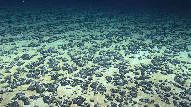 An underwater photo of rocky nodes on the sea floor