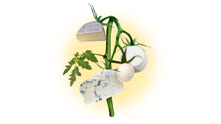 digital photo collage of a plant with different types of cheese growing on it instead of vegetables
