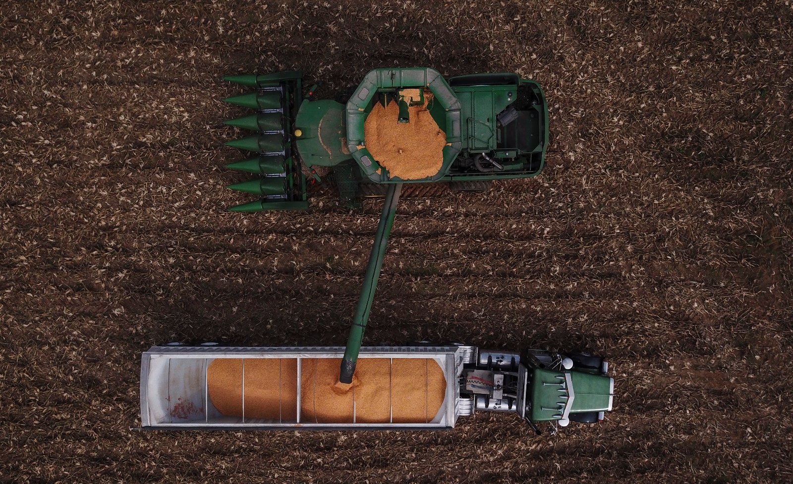 A photograph taken from above of shelled corn being unloaded from a combine harvester onto a tractor trailer on a farm