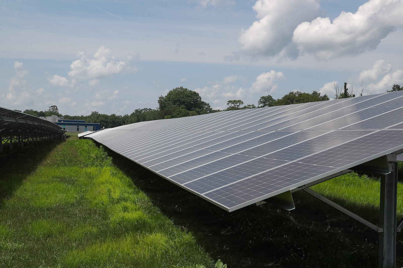 A solar panel array is seen on a lawn near a school