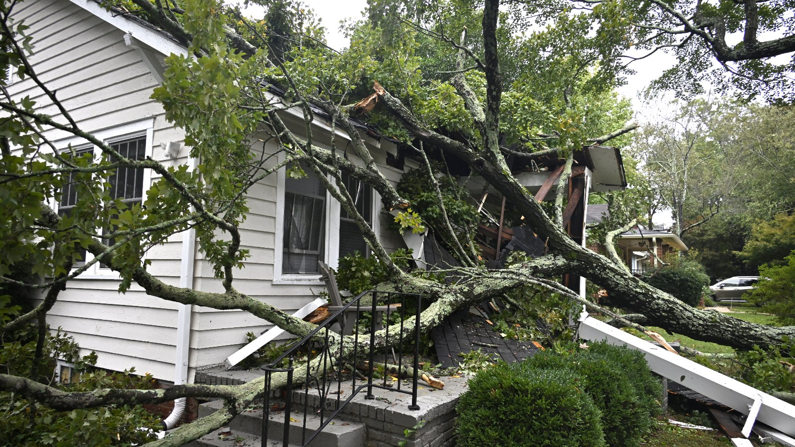 downed tree on house hurricane Helene Charlotte North Carolina