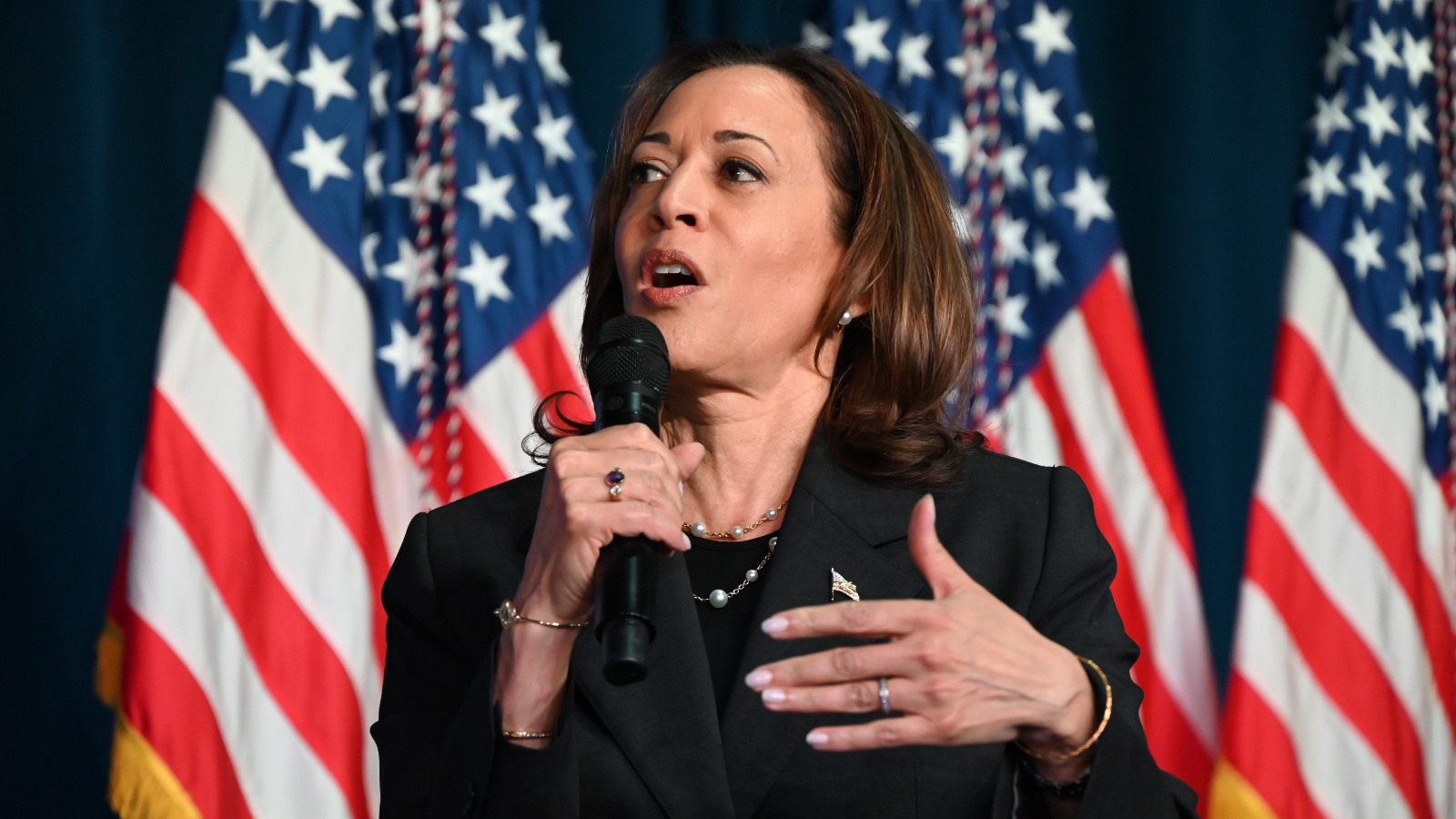 Photo of Kamala Harris speaking into a microphone with American flags in the background