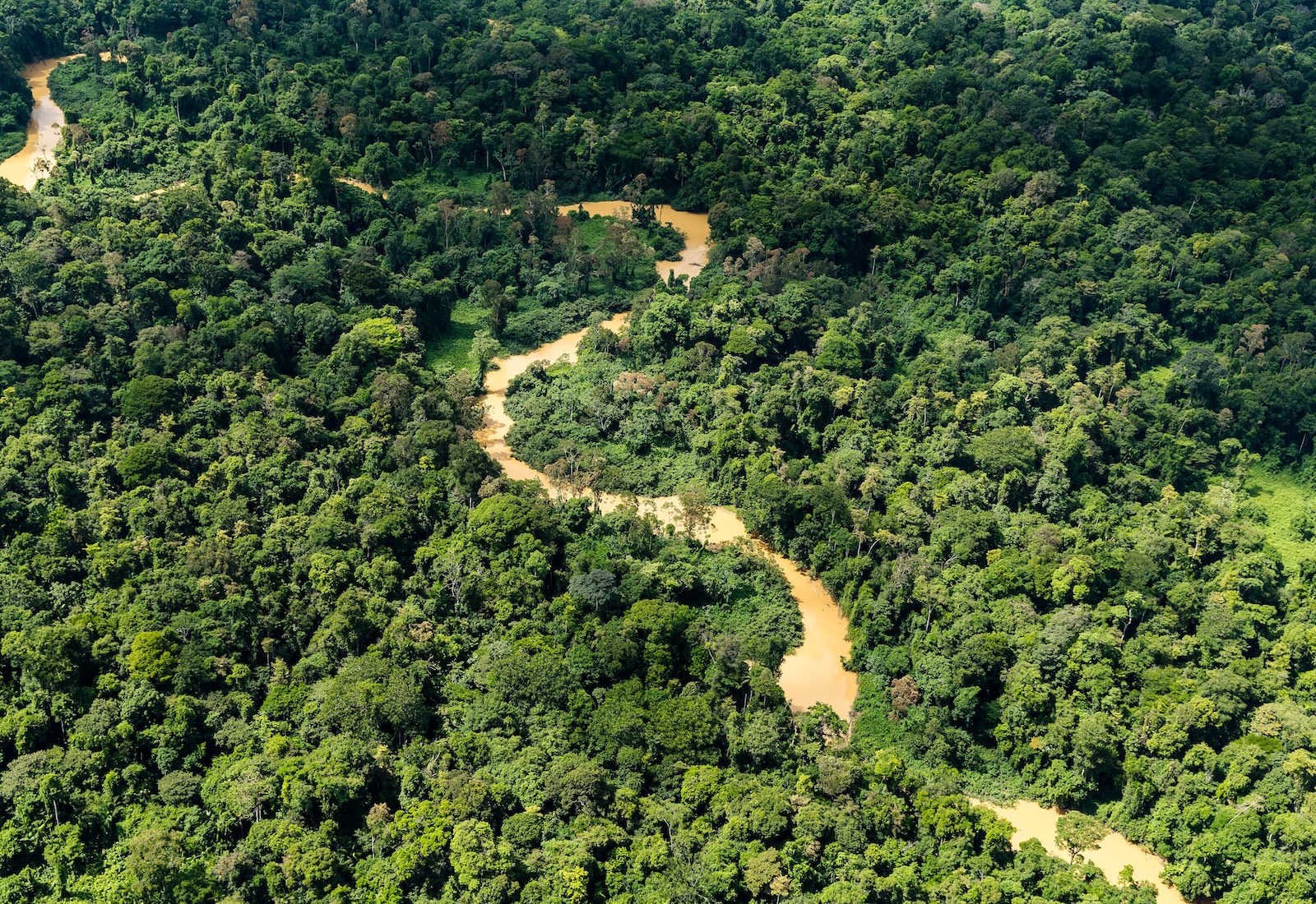 Aerial view of the Amazon rainforest, with a river winding through it.