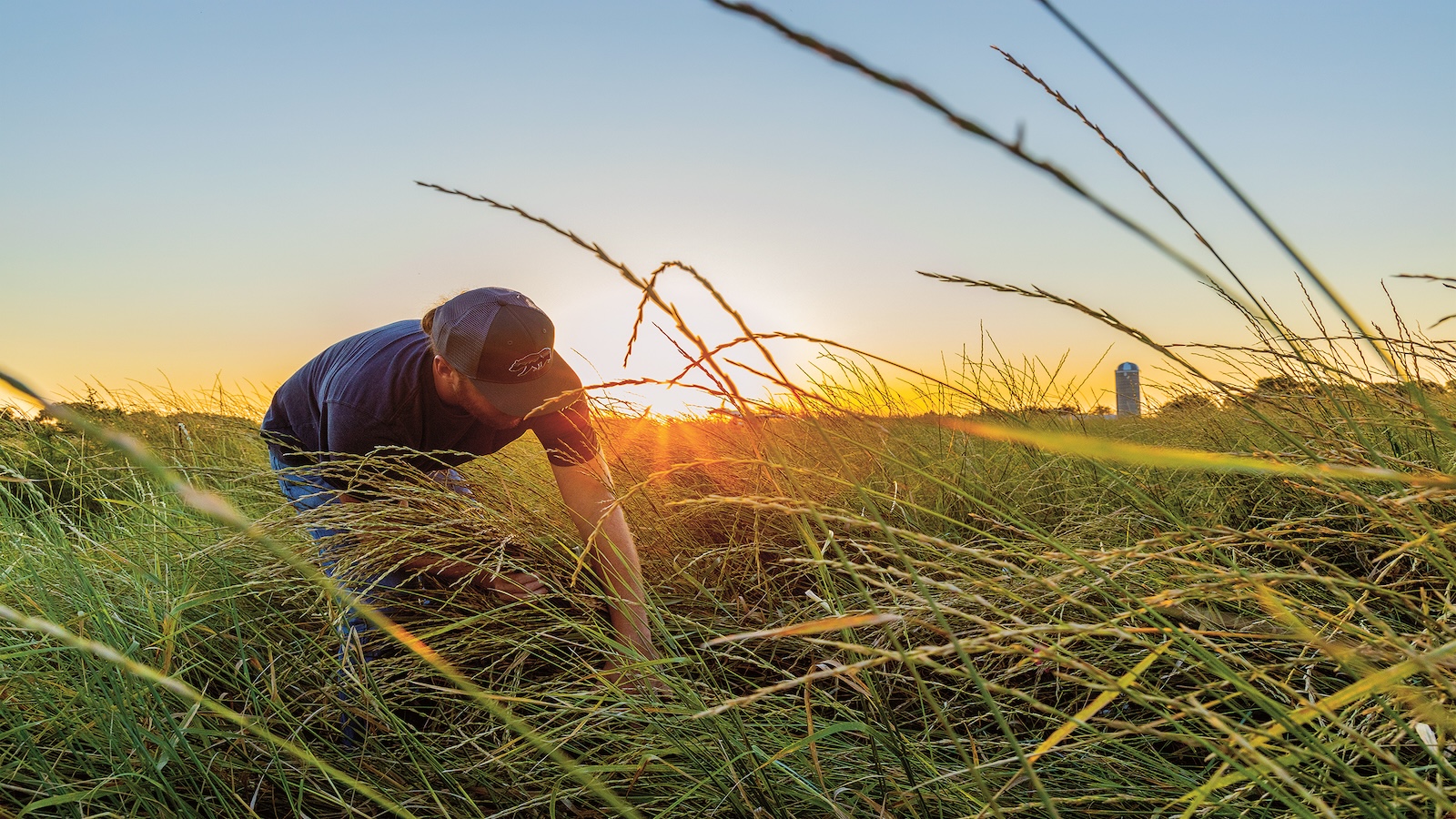 A man tends to a field of grains in Kansas