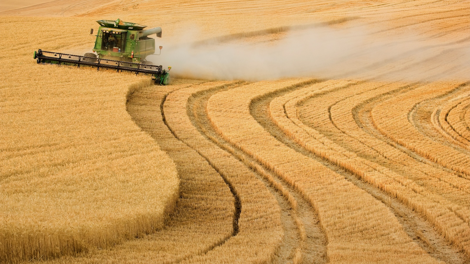 A harvester harvests wheat in a vast hill country in rural Washington.