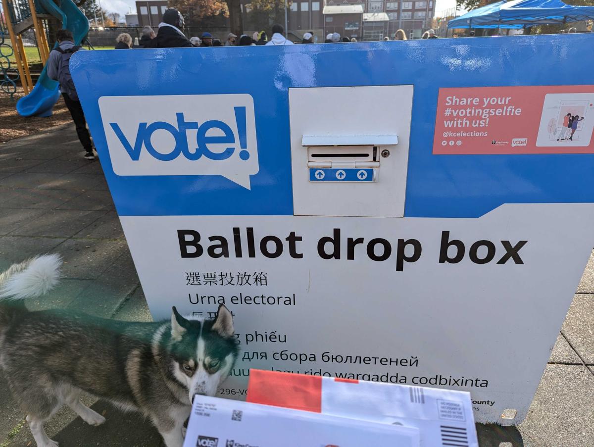 A photo of a blue and white ballot drop box with a husky standing in front of it on a sunny day