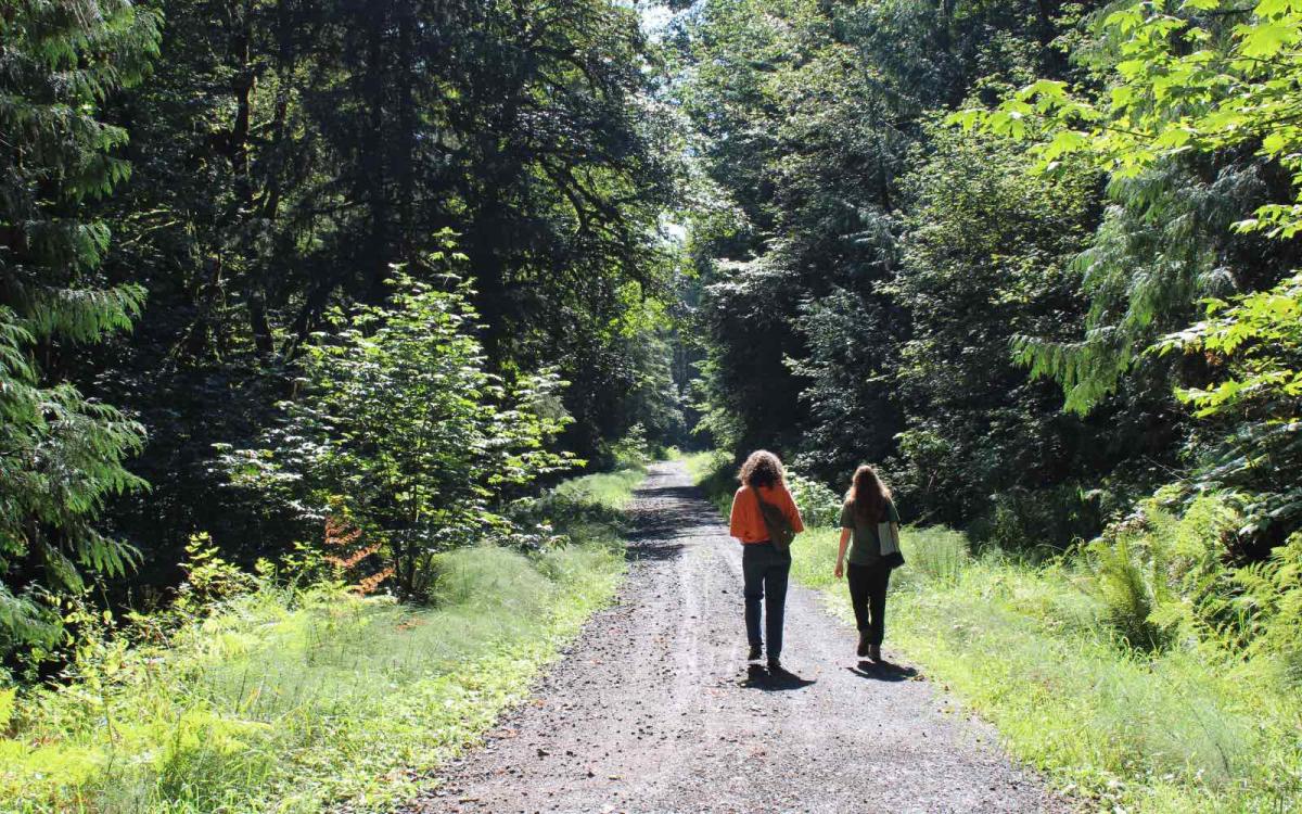 Two women walk on a dirt path in a green forest