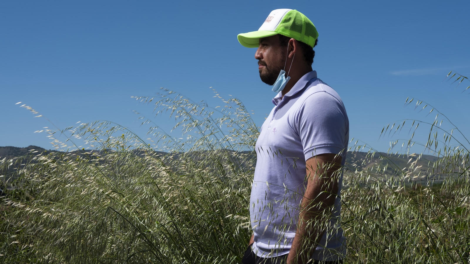 Profile view from the waist up of an immigrant farmworker standing in a field looking left. He is wearing a purple short-sleeve collared shirt, a face mask pulled down around his chin, and a green and white trucker hat.