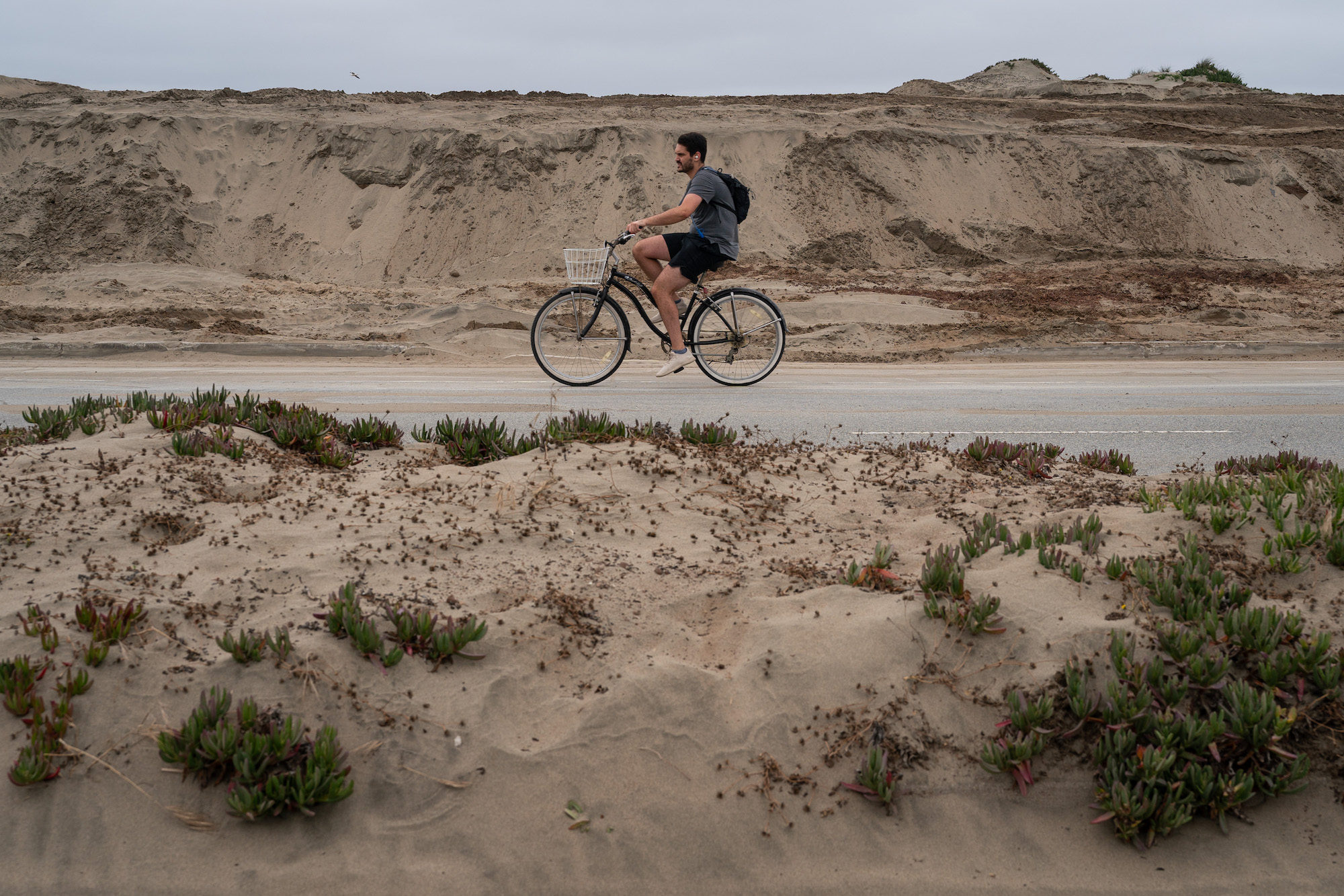 A man rides a bike along coastal dunes