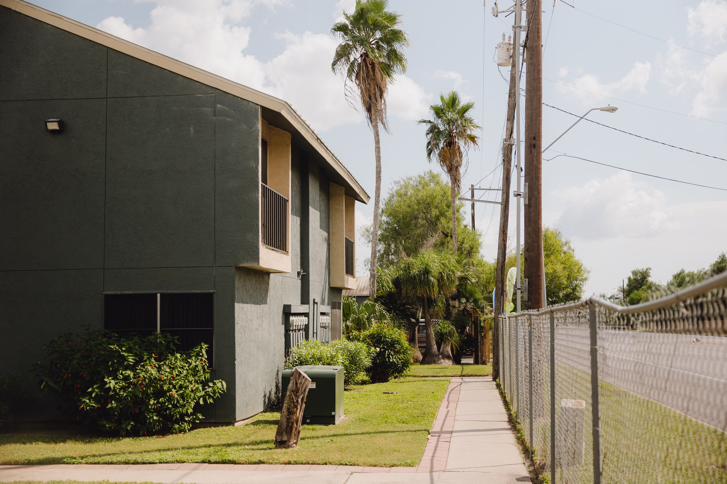 A gray apartment building on a street lined with palm trees