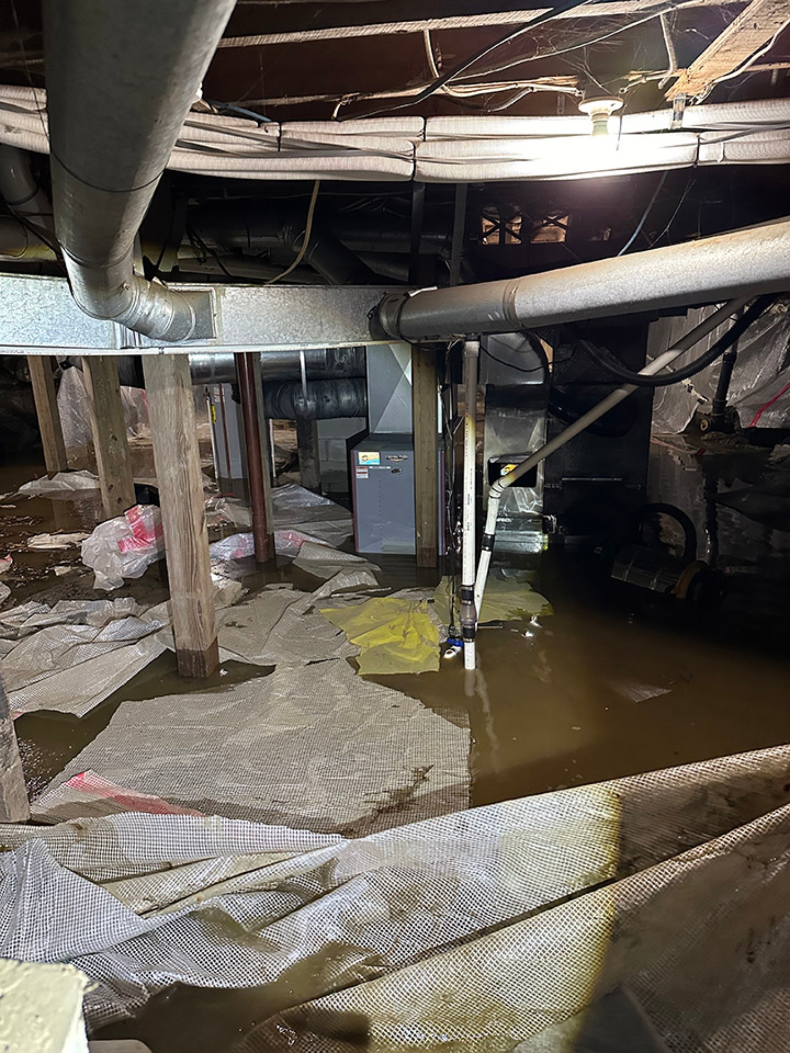 A white bucket floats in a basement covered in feet of brown flood water.