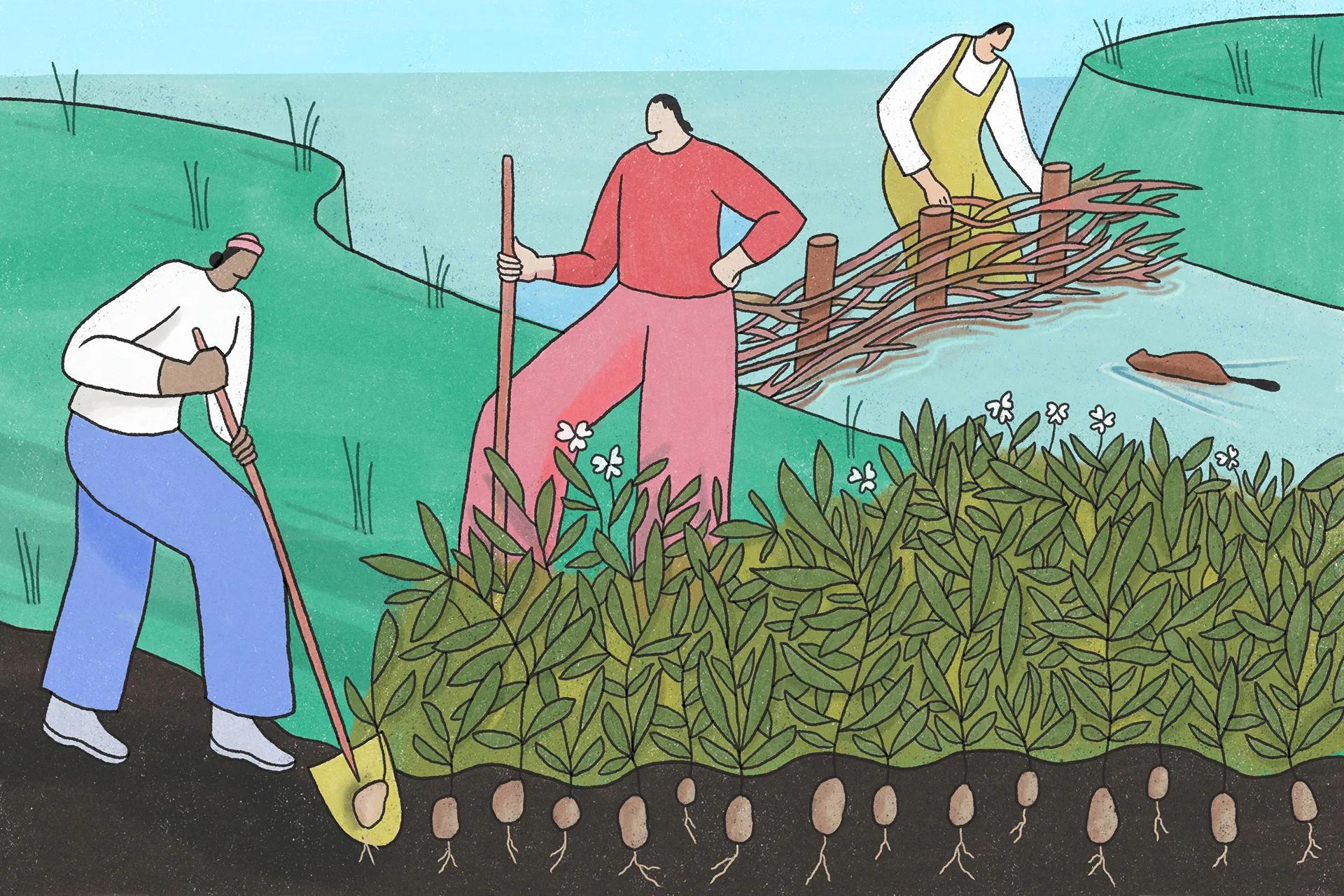 An illustration of people digging potatoes at the edge of a river