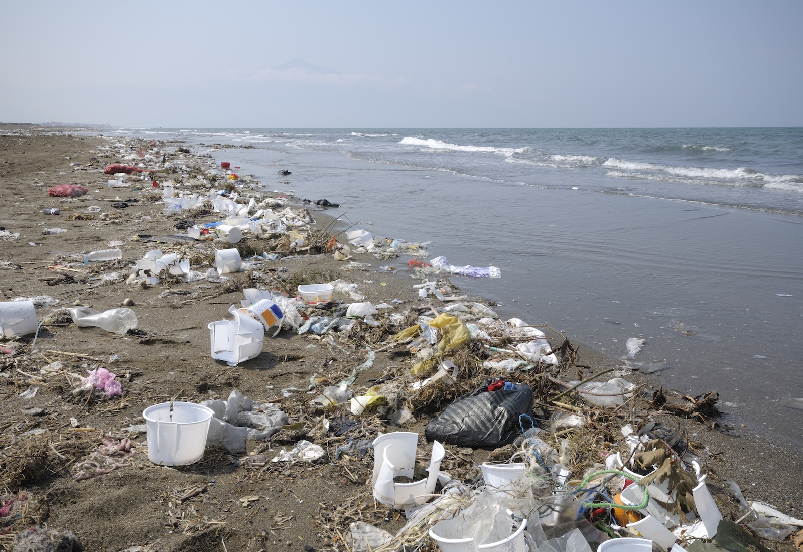 Plastic litter on a beach